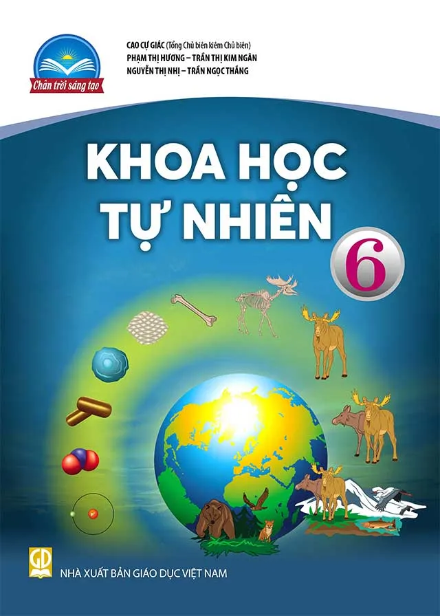 Bộ sách giáo khoa Lớp 6: Chân trời sáng tạo (Sách học sinh)