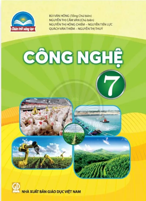 Bộ sách giáo khoa Lớp 7: Chân trời sáng tạo (Sách học sinh)