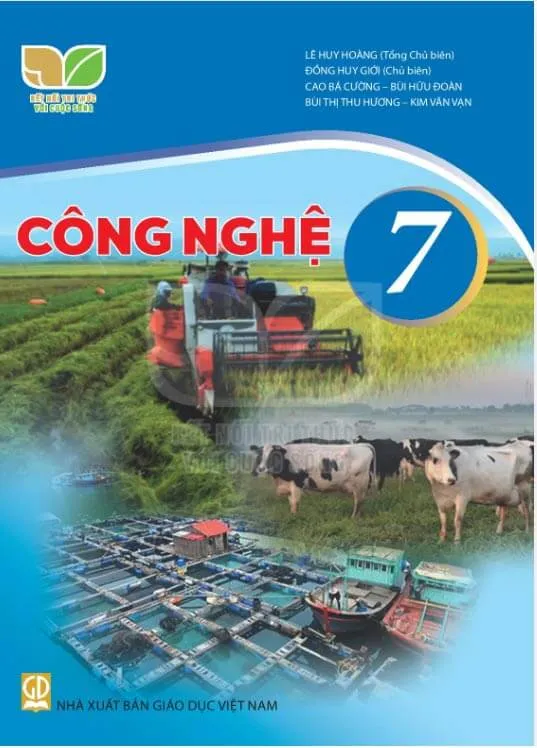 Bộ sách giáo khoa Lớp 7: Kết nối tri thức với cuộc sống (Sách học sinh)