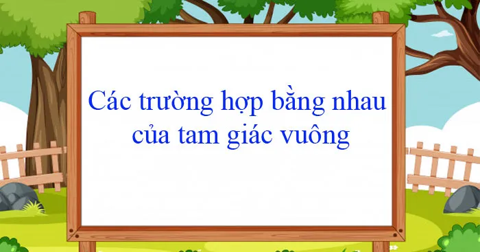 Các trường hợp bằng nhau của tam giác vuông