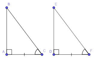 Các trường hợp bằng nhau của tam giác vuông