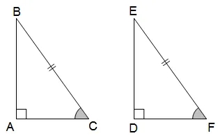 Các trường hợp bằng nhau của tam giác