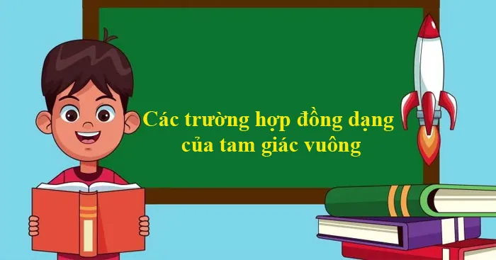 Các trường hợp đồng dạng của tam giác vuông