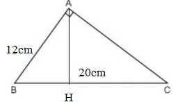 Các trường hợp đồng dạng của tam giác vuông