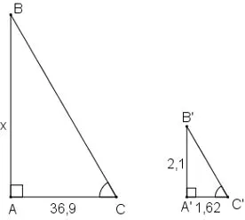 Các trường hợp đồng dạng của tam giác vuông