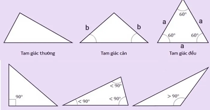 Các trường hợp đồng dạng của tam giác