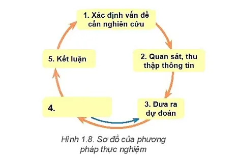 Chuyên đề dạy thêm Vật lí 10 Kết nối tri thức với cuộc sống