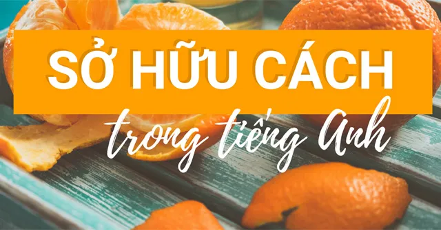 Chuyên đề sở hữu cách trong tiếng Anh