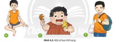 Công nghệ 6 Bài 4: Thực phẩm và dinh dưỡng