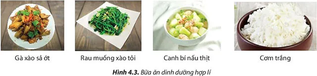 Công nghệ 6 Bài 4: Thực phẩm và dinh dưỡng