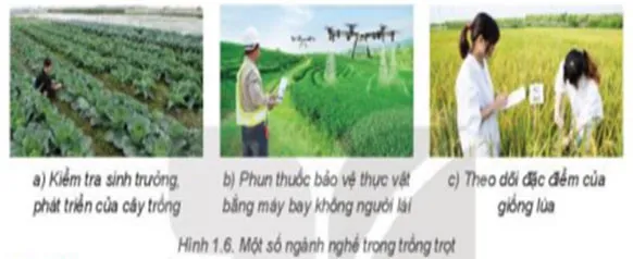 Công nghệ 7 Bài 1: Giới thiệu về trồng trọt