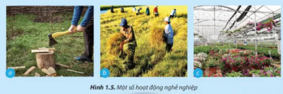 Công nghệ 7 Bài 1: Nghề trồng trọt ở Việt Nam