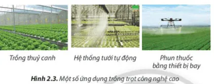 Công nghệ 7 Bài 2: Các phương thức trồng trọt ở Việt Nam