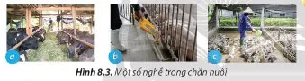 Công nghệ 7 Bài 8: Nghề chăn nuôi ở Việt Nam