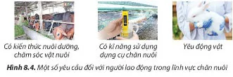 Công nghệ 7 Bài 8: Nghề chăn nuôi ở Việt Nam