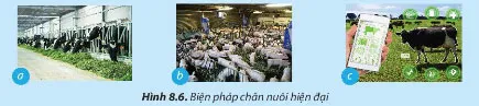 Công nghệ 7 Bài 8: Nghề chăn nuôi ở Việt Nam