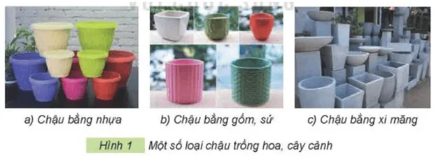 Công nghệ lớp 4 Bài 3: Vật liệu và dụng cụ trồng hoa, cây cảnh trong chậu