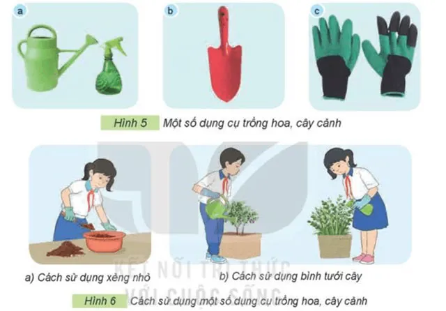 Công nghệ lớp 4 Bài 3: Vật liệu và dụng cụ trồng hoa, cây cảnh trong chậu