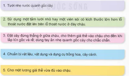 Công nghệ lớp 4 Bài 5: Trồng hoa, cây cảnh trong chậu