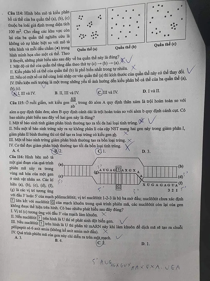 Đáp án đề thi môn Sinh học THPT Quốc gia 2023 của Bộ Giáo Dục và Đào Tạo