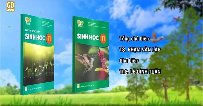 Đáp án trắc nghiệm tập huấn môn Sinh học 11 sách Kết nối tri thức với cuộc sống