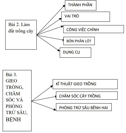 Đề cương ôn tập giữa học kì 1 môn Công nghệ 7 sách Kết nối tri thức với cuộc sống