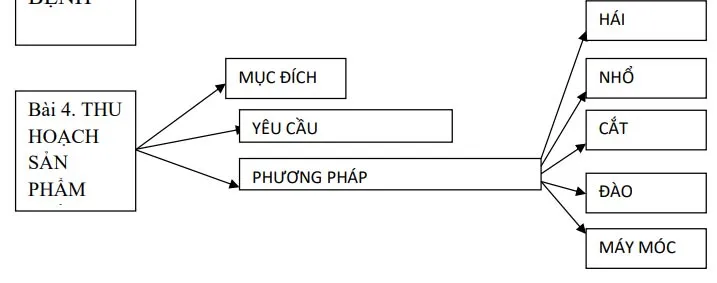 Đề cương ôn tập giữa học kì 1 môn Công nghệ 7 sách Kết nối tri thức với cuộc sống