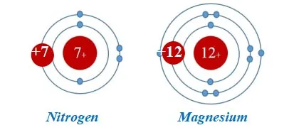 Đề cương ôn tập giữa học kì 1 môn Khoa học tự nhiên 7 sách Kết nối tri thức với cuộc sống