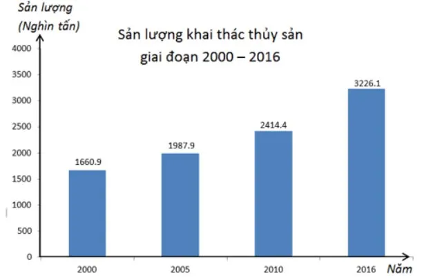 Đề cương ôn tập giữa học kì 2 môn Toán 7 sách Cánh diều