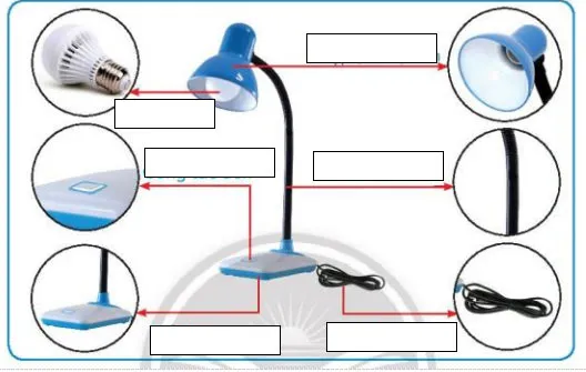 Đề cương ôn tập học kì 1 môn Công nghệ 3 sách Chân trời sáng tạo