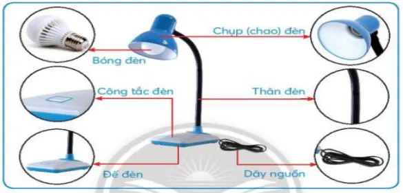 Đề cương ôn tập học kì 1 môn Công nghệ 3 sách Chân trời sáng tạo