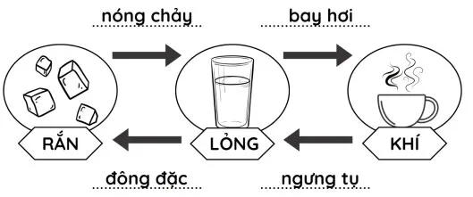 Đề cương ôn tập học kì 1 môn Khoa học 4 sách Chân trời sáng tạo