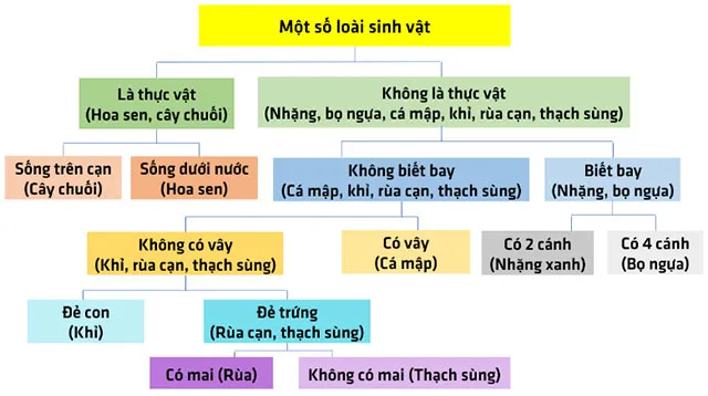 Đề cương ôn tập học kì 1 môn Khoa học tự nhiên 6 sách Kết nối tri thức với cuộc sống