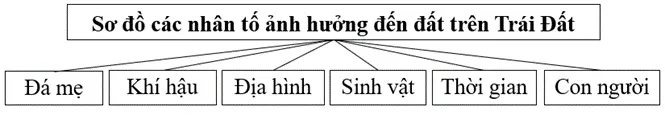 Địa lí 10 Bài 14: Đất