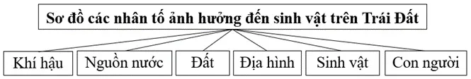 Địa lí 10 Bài 15: Sinh quyển, các nhân tố ảnh hưởng đến sự phát triển và phân bố của sinh vật