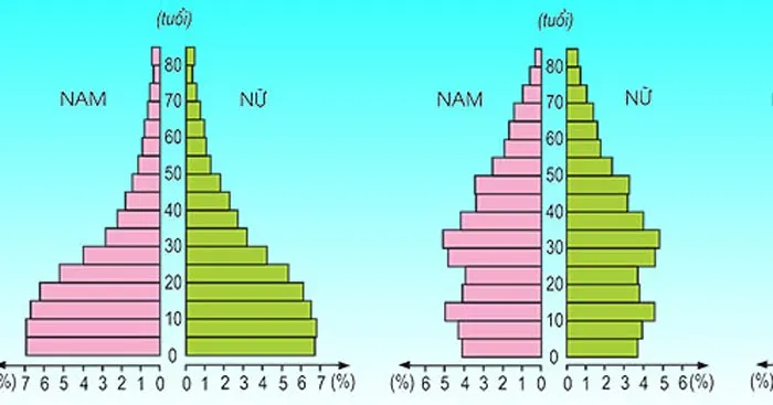 Địa lí 10 Bài 20: Cơ cấu dân số