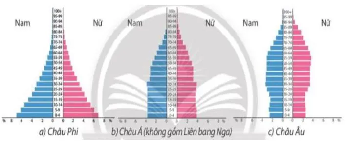 Địa lí 10 Bài 22: Thực hành phân tích tháp dân số, vẽ biểu đồ cơ cấu dân số theo nhóm tuổi