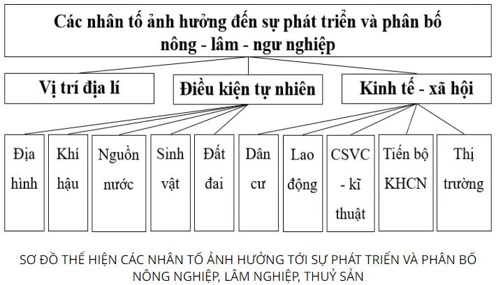 Địa lí 10 Bài 25: Vai trò, đặc điểm, các nhân tố ảnh hưởng tới sự phát triển và phân bố nông nghiệp, lâm nghiệp, thủy sản