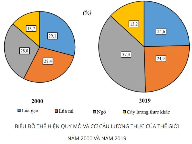 Địa lí 10 Bài 27: Thực hành Vẽ và nhận xét biểu đồ về sản lượng lương thực của thế giới