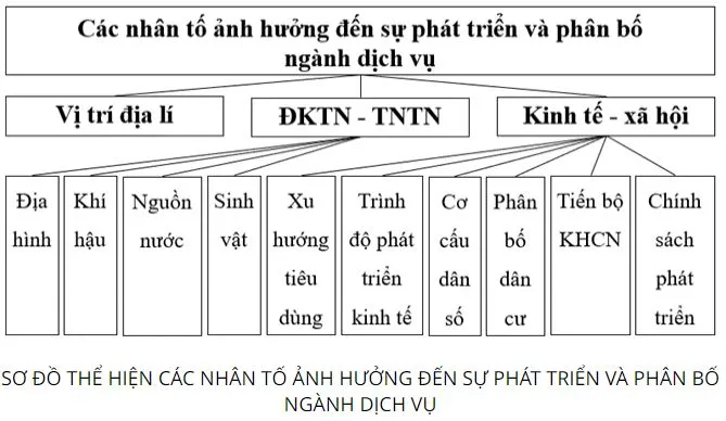 Địa lí 10 Bài 33: Cơ cấu, vai trò, đặc điểm và các nhân tố ảnh hưởng đên sự phát triển, phân bố dịch vụ