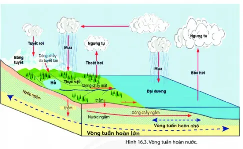 Địa lí 6 Bài 16: Thủy quyển. Vòng tuần hoàn nước. Nước ngầm, băng hà