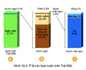 Địa lí 6 Bài 16: Thủy quyển. Vòng tuần hoàn nước. Nước ngầm, băng hà