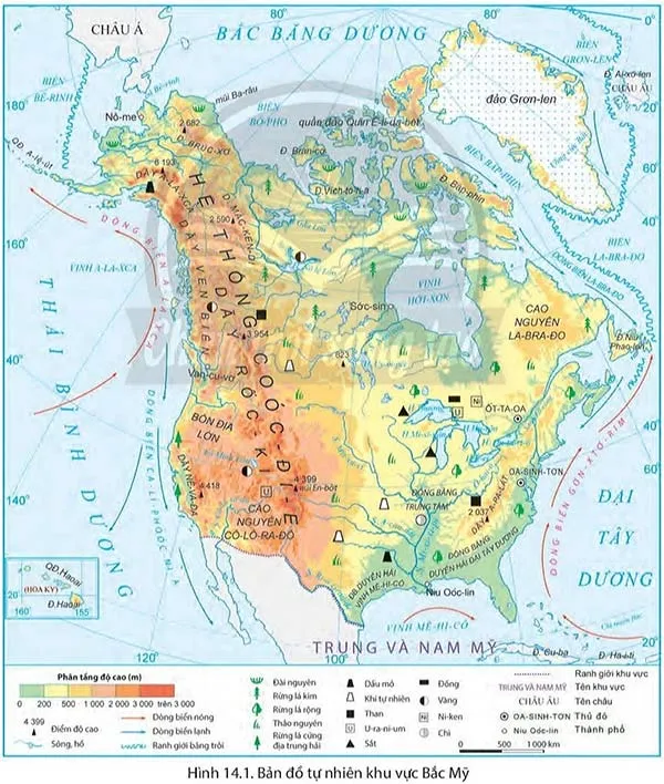 Địa lí 7 Bài 14: Thiên nhiên và dân cư, xã hội Bắc Mỹ