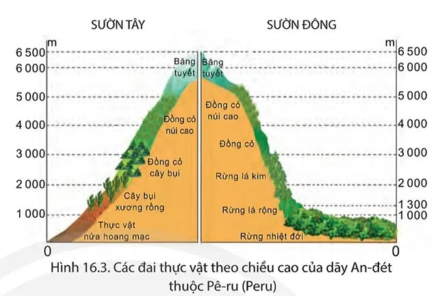 Địa lí 7 Bài 16: Thiên nhiên Trung và Nam Mỹ