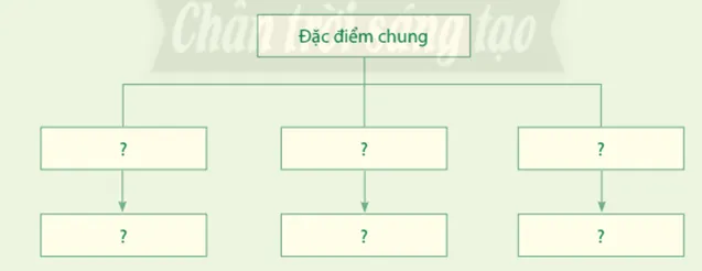 Địa lí 8 Bài 4: Đặc điểm chung của tài nguyên khoáng sản, sử dụng hợp lí tài nguyên khoáng sản