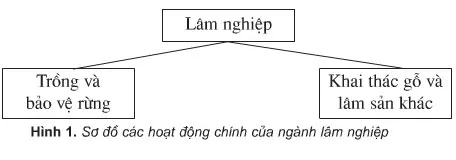 Địa lí lớp 5 Bài 11: Lâm nghiệp và thủy sản