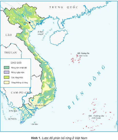 Địa lí lớp 5 Bài 6: Đất và rừng