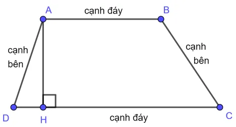 Đường trung bình của hình thang