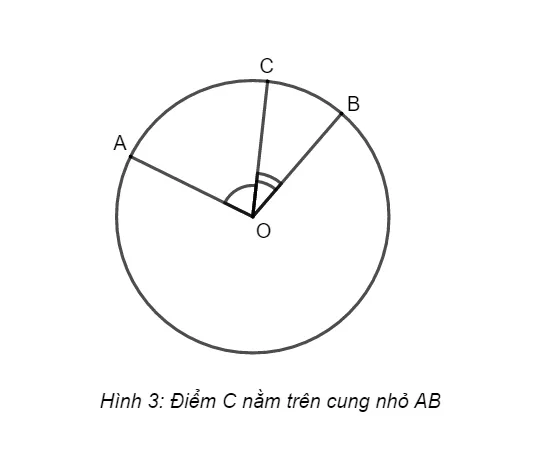 Giải Toán 9 Bài 1: Góc ở tâm. Số đo cung