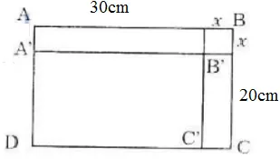 Giải Toán 9 Bài 2: Hàm số bậc nhất